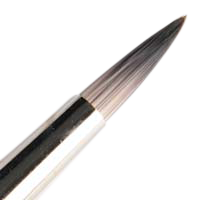 Superstar Bloemen Penseel 6, Saskia