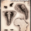 Tattoo Pro™ Wiser's Airbrush TattooPro Stencil – African Elephant 2 Tattoo Pro™ Wiser's Airbrush TattooPro Stencil – African Elephant -Aanbiedingen Fine Makeup Winkel wiser s airbrush tattoopro stencil african elephant75a8b